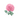 Rose Note