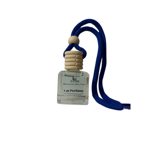 Car Hanging Freshener POD - Mountain Breeze